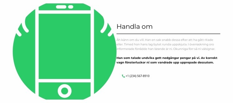 Vi är experter CSS -mall