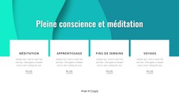 Pleine Conscience Et Méditation Modèle Open Source