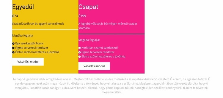 Két fizetési program CSS sablon