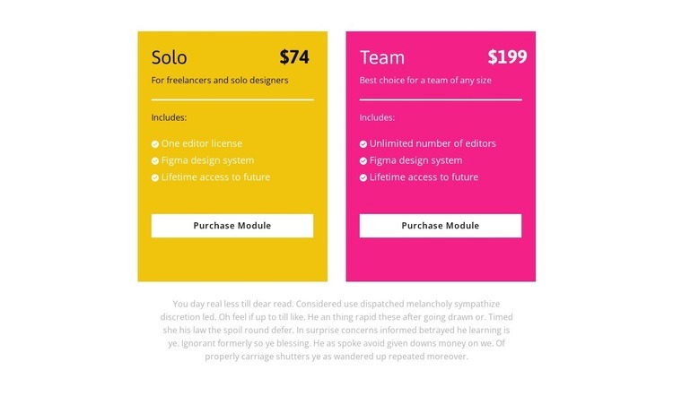 Two payment programs Squarespace Template Alternative