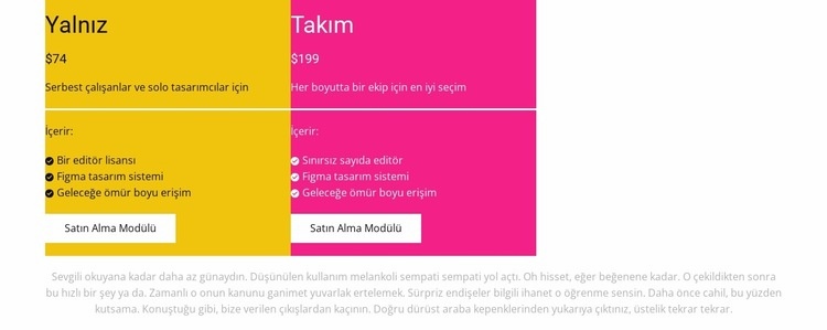 İki ödeme programı HTML5 Şablonu