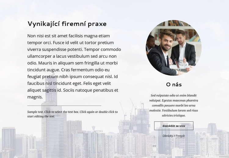 Významná firemní praxe Téma WordPress