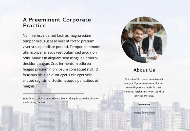 Preminent corporate practice Elementor Template Alternative