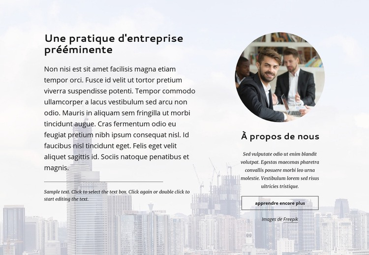 Pratique d'entreprise de premier plan Modèles de constructeur de sites Web