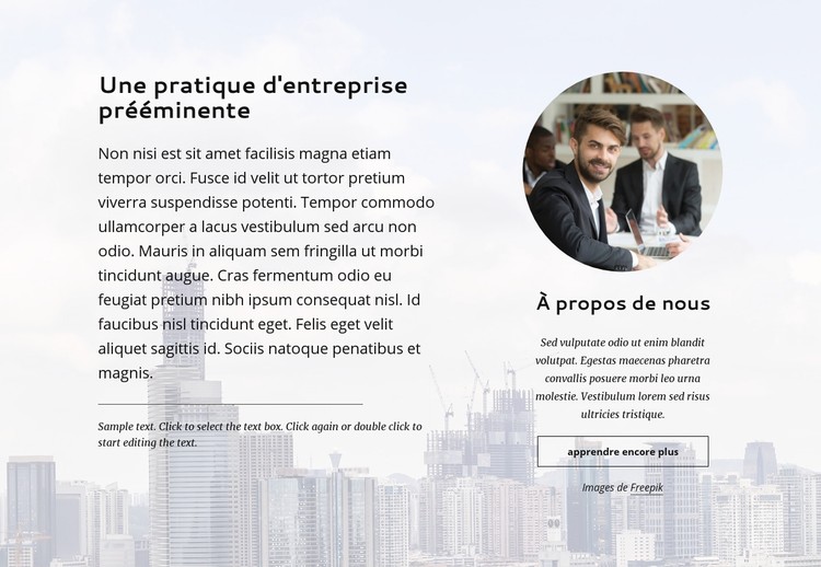 Pratique d'entreprise de premier plan Modèle CSS