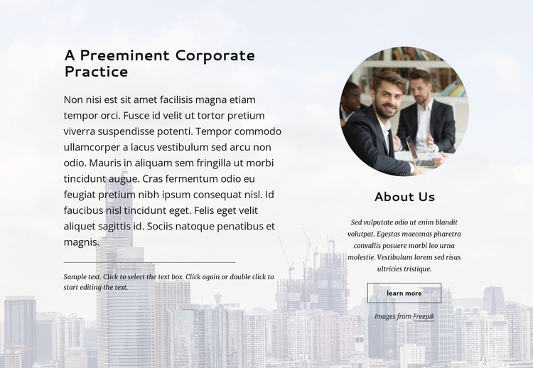 Preminent corporate practice One Page Template