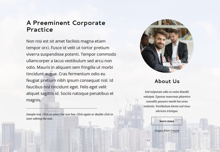 Preminent corporate practice Wix Template Alternative