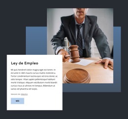 Ley De Empleo: Plantilla Adaptable HTML5