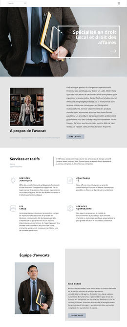 Modèle De Plate-Forme De Lancement Pour Avocat Fiscaliste