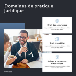 Domaines De Pratique Juridique - Modèle De Création De Site Web