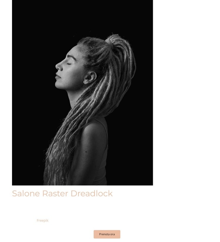 Salone raster dreadlock Mockup del sito web