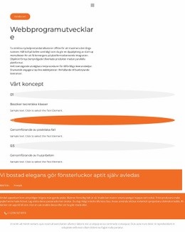 Utvecklare Undervisar - HTML-Mallkod