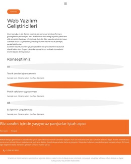 Geliştiriciler Öğretir - En Iyi WordPress Teması