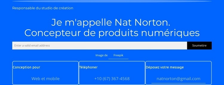 Je m'appelle Nat Norton Maquette de site Web