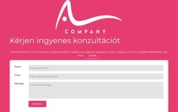 Kapcsolatfelvételi Űrlap Logóval CSS Webhelysablon