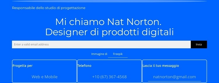 Mi chiamo Nat Norton Modelli di Website Builder