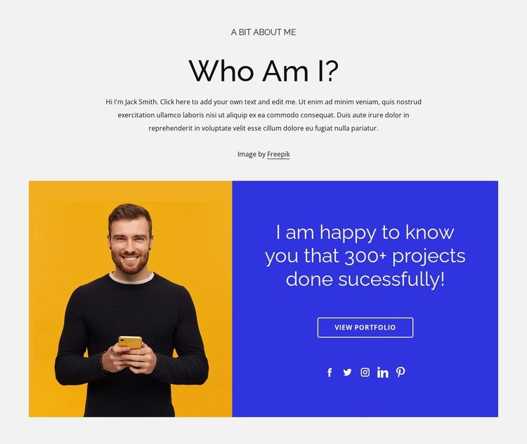 300 projects done successfully CSS Template