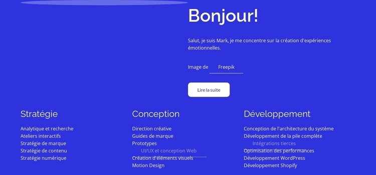 Stratégie, conception, développement Modèle HTML5