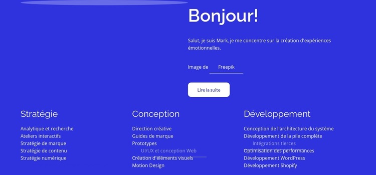 Stratégie, conception, développement Modèle de site Web