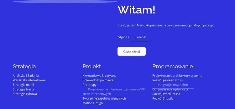 Strategia, projekt, rozwój Makieta strony internetowej