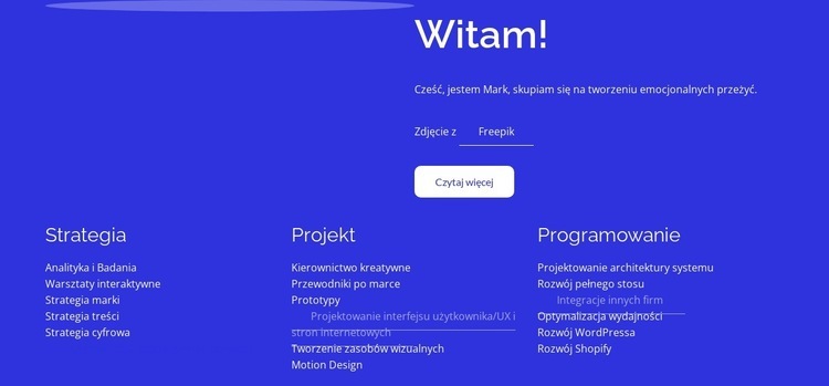 Strategia, projekt, rozwój Projekt strony internetowej