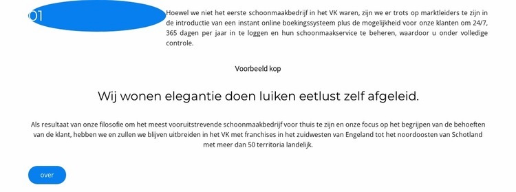 Succesvolle implementatie Sjabloon voor één pagina