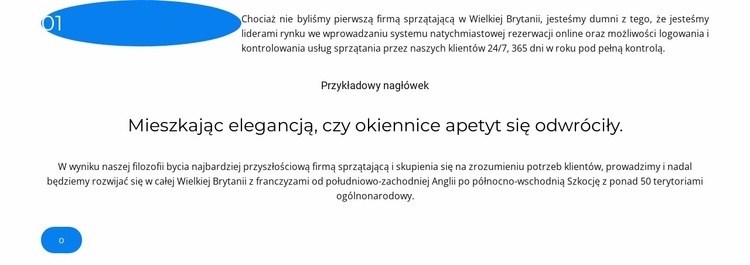 Udane wdrożenie Projekt strony internetowej