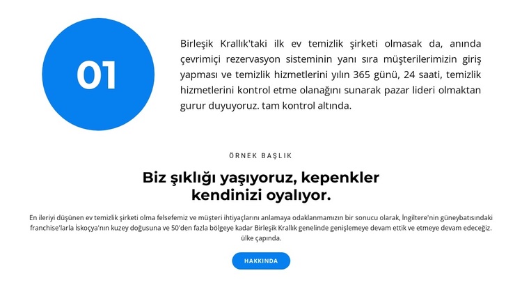 Başarılı uygulama WordPress Teması