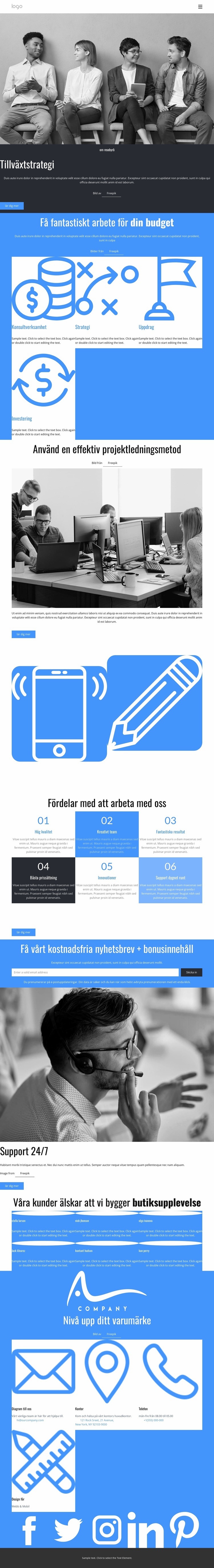 Konsultföretag för tillväxtstrategi Hemsidedesign