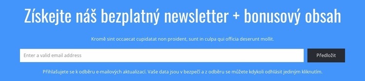 Získejte náš bezplatný newsletter Šablona CSS