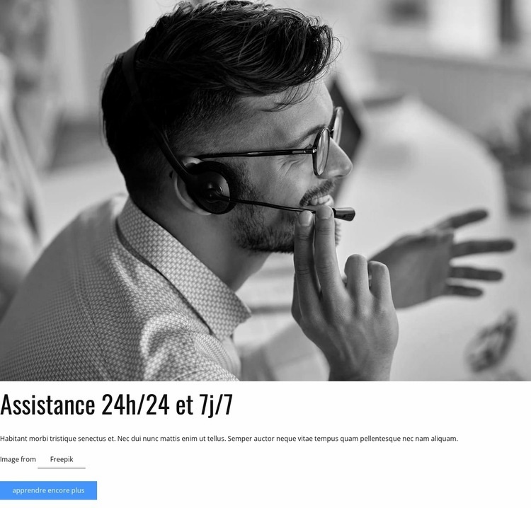 Assistance 24h/24 et 7j/7 Conception de site Web