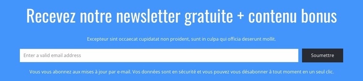 Recevez notre newsletter gratuite Modèle HTML5