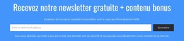 Modèle CSS Pour Recevez Notre Newsletter Gratuite