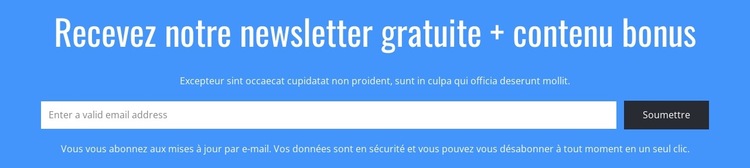 Recevez notre newsletter gratuite Modèle de site Web