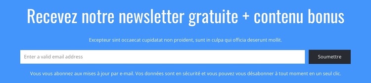 Recevez notre newsletter gratuite Thème WordPress