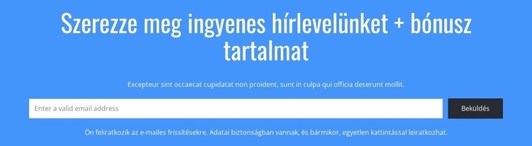 Szerezze meg ingyenes hírlevelünket CSS sablon