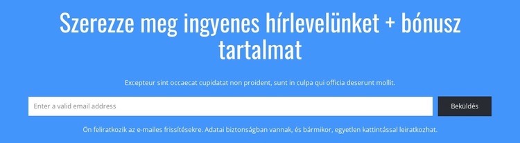 Szerezze meg ingyenes hírlevelünket HTML Sablon