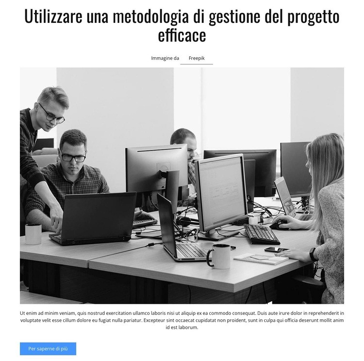 Metodologia gestionale Progettazione di siti web