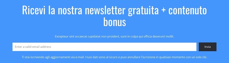 Ricevi la nostra newsletter gratuita Modello CSS