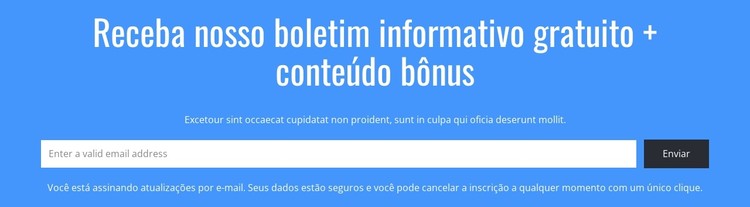 Receba nosso boletim informativo gratuito Template CSS