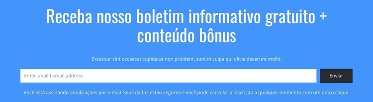 Receba nosso boletim informativo gratuito Landing Page