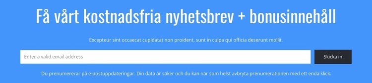 Få vårt kostnadsfria nyhetsbrev CSS -mall