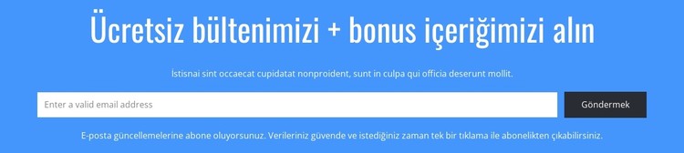 ÜCRETSİZ bültenimizi alın CSS Şablonu