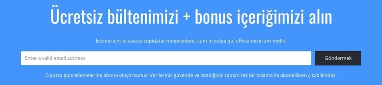 ÜCRETSİZ bültenimizi alın Html Web Sitesi Oluşturucu