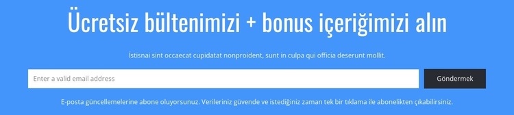 ÜCRETSİZ bültenimizi alın Web Sitesi Mockup'ı