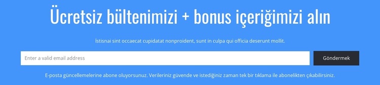 ÜCRETSİZ bültenimizi alın WordPress Teması