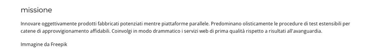 Fondatore della holding Progettazione di siti web