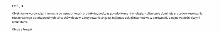 Założyciel holdingu Szablon Joomla