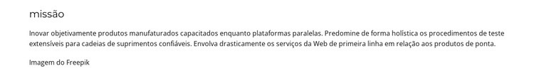 Fundador da holding Modelo de uma página