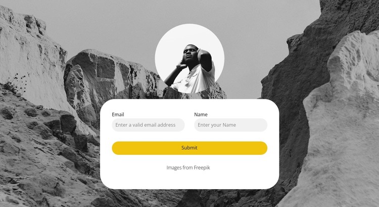 Fill out the form below WordPress Theme